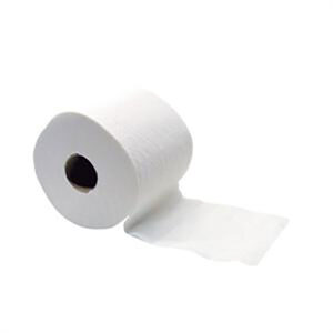 Toilet Rolls Standard 48 Roll Ctn - 400 Sheets