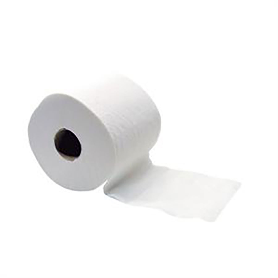 Toilet Rolls Standard 48 Roll Ctn - 400 Sheets