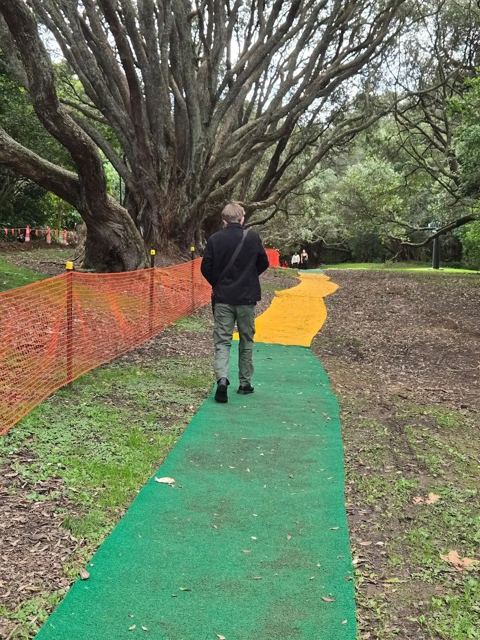green and yellow safef path matting on a walkway with orange barrier mesh and waratahs to the side