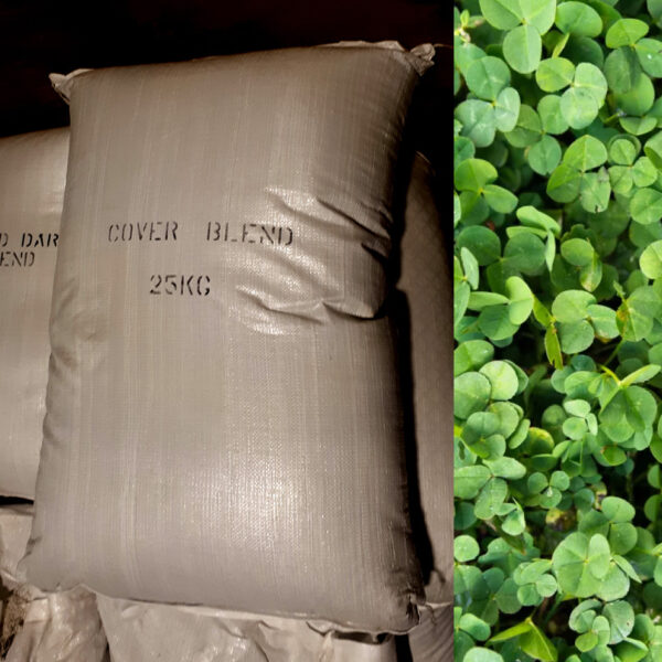 Rye & Clover 25kg bag grass seed