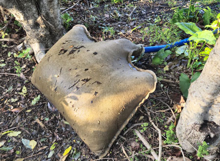 Dewatering bag filled with silt and leaves
