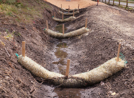 Coir logs and survey stakes preventing water from entering sediment free area