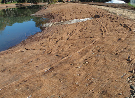 Coconut jute matting unrolled on a bank promoting vegetation growth