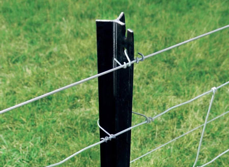 Y post attached to a wire fence